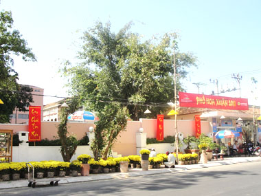 Nhiều chương trình đón chào năm mới