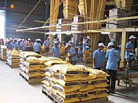 Siết chặt nhập khẩu thức ăn chăn nuôi