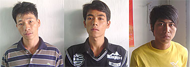 3 “con vạc” sa lưới