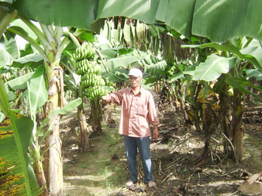 Chỗ dựa tin cậy của nông dân