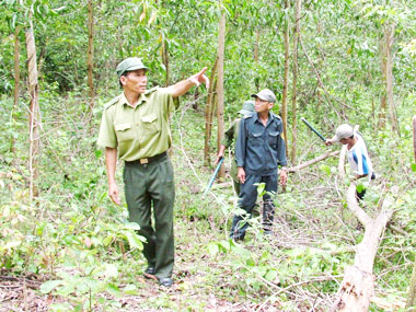 Sẵn sàng phòng, chống cháy rừng