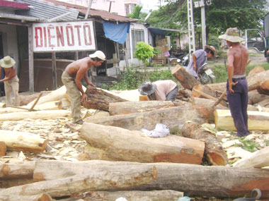 Gỗ mít được giá