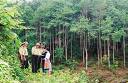 Chủ đầu tư dự án trồng rừng sản xuất được vay vốn Ngân hàng Phát triển Việt Nam