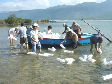 Cần một giải pháp bền vững