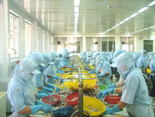 Sản lượng thủy sản chế biến đạt gần 9.600 tấn