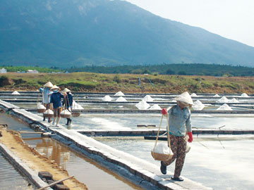 Lao đao thời… giá tăng