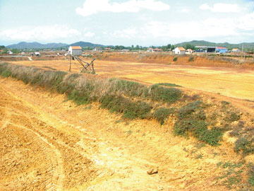 Người nuôi tôm chuẩn bị vào vụ mới