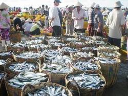 Quy hoạch 211 cảng cá, bến cá