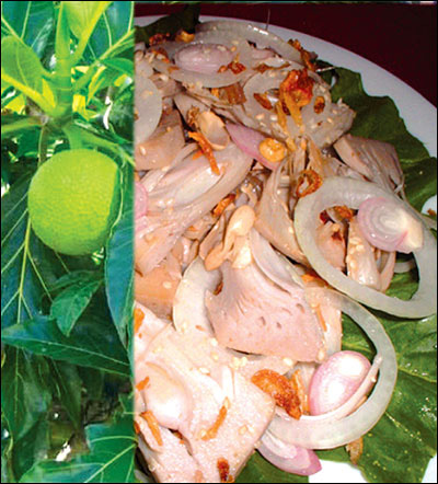 Món ăn: Salad sa kê thịt gà