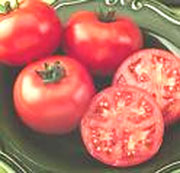 Ăn cà chua ngăn ngừa bệnh Alzheimer