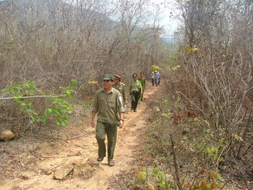 Chủ động phòng, chống cháy rừng