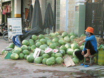 Giá dưa hấu chỉ còn 2.000 đồng/kg