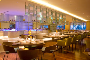 Những ấn tượng đầu tiên