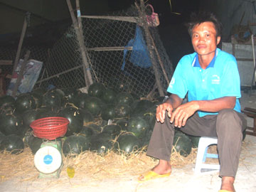 Người trồng dưa thu “quả đắng”