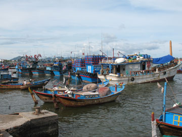 Tạo lập bước đi vững chắc