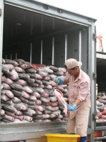 Sản lượng khai thác thủy sản đạt trên 2.500 tấn