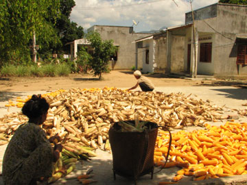 Tạo sự ổn định và phát triển cho vùng đồng bào dân tộc thiểu số