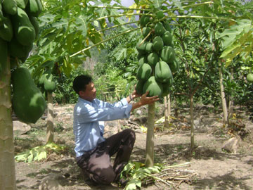 Gần 64.000 nông dân đăng ký danh hiệu nông dân sản xuất, kinh doanh giỏi các cấp