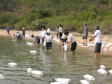 Thả gần 46 vạn con giống hải sản ra biển để tái tạo nguồn lợi