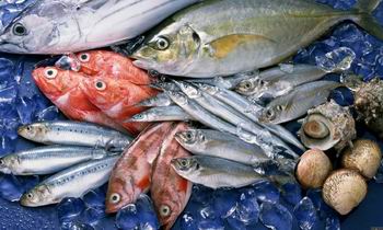 Phạt đến 40 triệu đồng nếu vi phạm trong lĩnh vực thủy sản