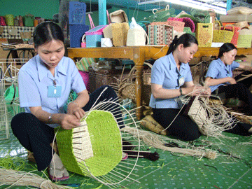 Phấn đấu phát triển 5 - 7 đơn vị thành viên