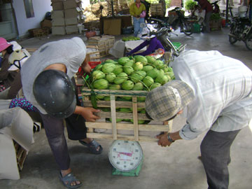 Tái phát chuyện cân gian!