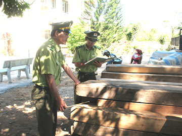 Khánh Hòa xảy ra 168 vụ vi phạm pháp luật về bảo vệ rừng