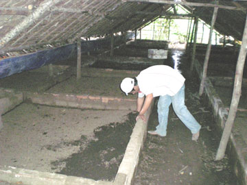 Nuôi trùn quế: Lợi cả đôi đường!