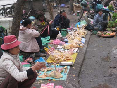 Từ 20-5, tăng mạnh mức phạt vi phạm giao thông