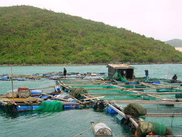Aquaculture yield reaches 5,400 tones in 3 months