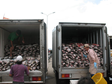 Khai thác thủy sản đạt 17.000 tấn