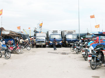 Từng bước nâng cao chất lượng dịch vụ hậu cần nghề cá