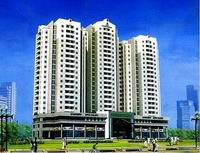 Từ 2011, sử dụng gạch không nung loại nhẹ để xây nhà cao tầng