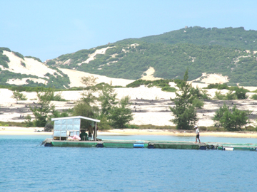 Quy hoạch chưa theo kịp nhu cầu nhà đầu tư