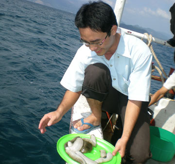 Trước mắt cần giảm khai thác thủy sản ven bờ