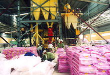 Kim ngạch xuất khẩu gạo tiến sát 1 tỉ USD