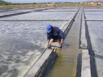 Mô hình cần được nhân rộng