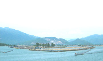 Bảo đảm an toàn phòng, chống lũ và phát triển xây dựng đô thị, thủy sản, du lịch