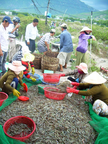 Điêu đứng vì thiếu điện