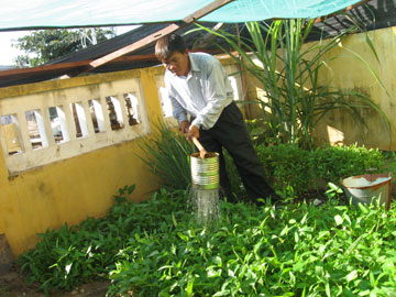 Màu xanh ở Trường Sa