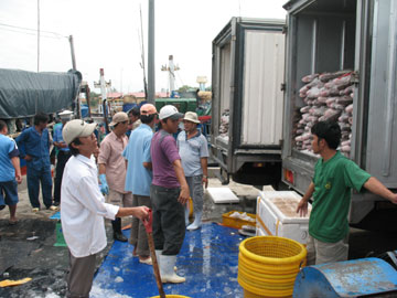 Sản lượng khai thác thủy sản đạt 33.000 tấn