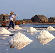 Hỗ trợ diêm dân 100% lãi suất vay vốn đầu tư sản xuất muối