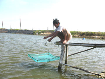 Sản lượng nuôi trồng thủy sản nội địa đạt hơn 10.000 tấn