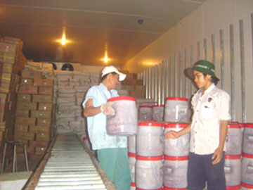 Vào mùa, nhưng gặp khó