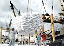 Triển vọng xuất khẩu của Việt Nam năm 2010 - 2011