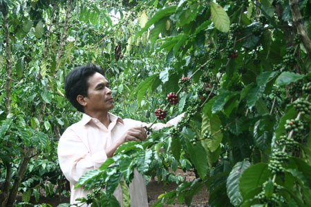 Từng ngày “thay da đổi thịt”