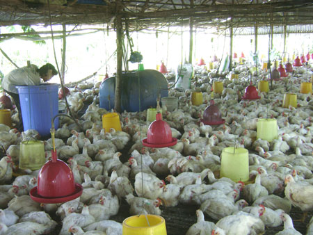 Bài 2: Tự cứu mình trước