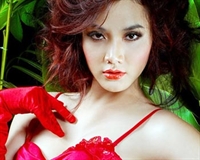 Trang Nhung dự thi Hoa hậu Việt Nam toàn cầu 2010