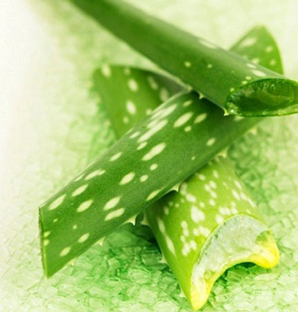 Mách bạn: Mẹo kích thích lông mày mọc nhanh