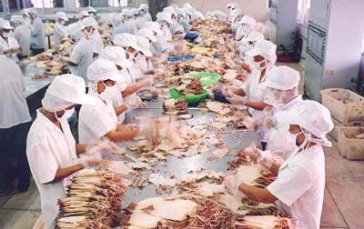 7 tháng, nông nghiệp xuất siêu 2,6 tỷ USD